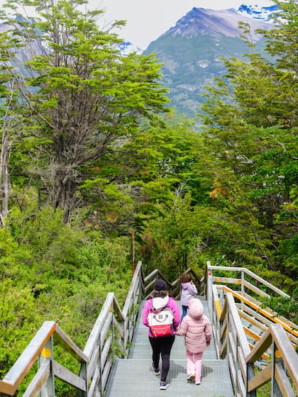 Pasarelas del Parque Nacional Los Glaciares