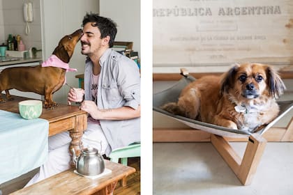 Pascualina, la perra salchicha de Don Terrenal, es la diva que protagoniza sus posteos de Instagram. La tarde que los visitamos nos regalaron esta tierna imagen.