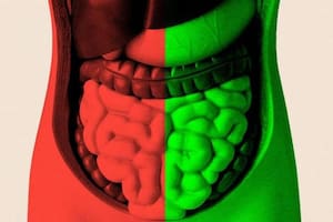Pasé meses tratando de averiguar si mejorar mi salud intestinal podría ayudarme a envejecer mejor