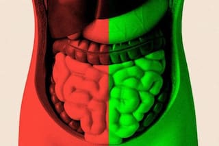 Pasé meses tratando de averiguar si mejorar mi salud intestinal podría ayudarme a envejecer mejor