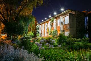 Una experiencia impactante e inmersiva con la naturaleza