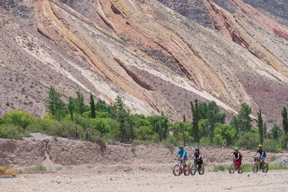 Paseo en bici por los senderos que bordean la Paleta del Pintor