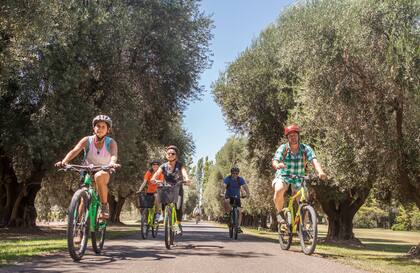 Paseo en bicicleta, Chacras de Coria.