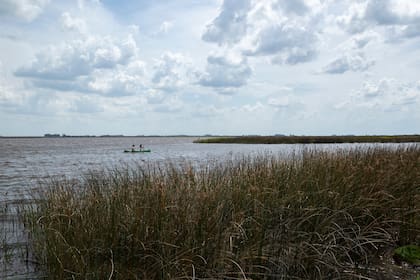 Paseo en canoa canadiense en la laguna Nahuel Rucá.