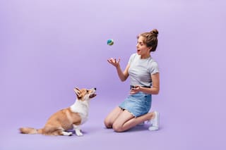 Día del Animal. Paseo, juego y amigos, las necesidades básicas del perro