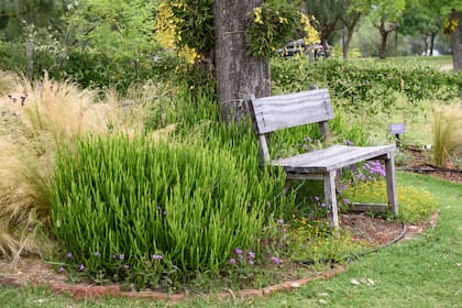 Paseo, recreación y concientización son algunos de los objetivos del proyecto