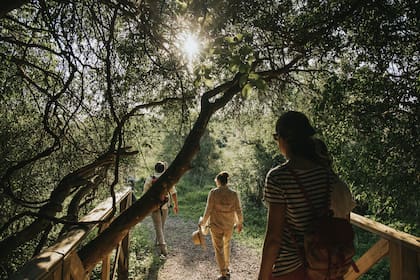 Paseos, animales y gastronoma local