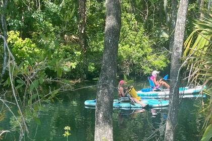 Paseos en Kajak, en Crystal River