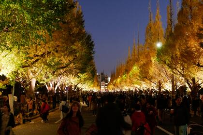 Paseos nocturnos pintorescos.