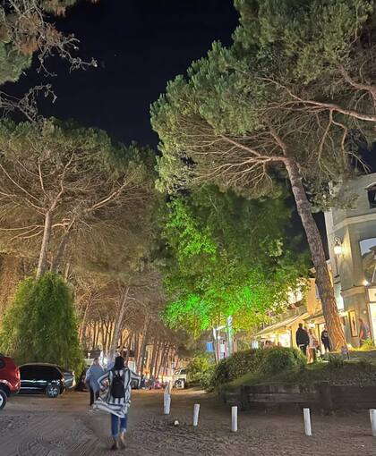 Paseos nocturnos por los bosques de Cariló - Imagen: Instagram @cariloargentina