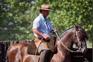 Las nuevas y las antiguas formas de ensillar de la cultura criolla