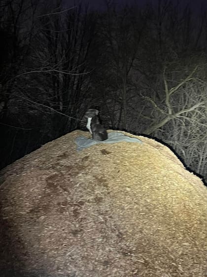 Pasó cinco días esperando que su familia regresara por él.