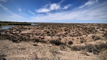 Paso Córdoba, en General Roca, provincia de Río Negro, donde se produjo el hallazgo. Foto: Nahuel Aldir