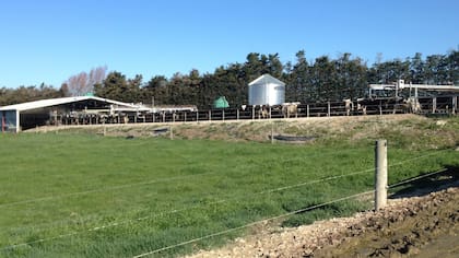 Pastura de rye grass de alta producción, junto a una instalación de ordeñe calesita con 60 bajadas