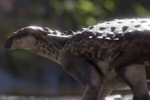 Patagopelta cristata, el ejemplar de anquilosaurio que vivió en la Patagonia argentina hace 70 millones de años