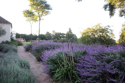 Patio que conduce a otras habitaciones con un camino de ladrillón trabado. Atrás pueden verse dos tipas enfrentando la galería del ranchón.
