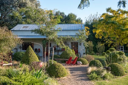 Patio seco de piedritas entre la casa y el galpón. Resaltan los topiarios de arbustos de varias especies, no solo buxus: Viburnum tinus, Pittosporum nigricans y Laurus nobilis