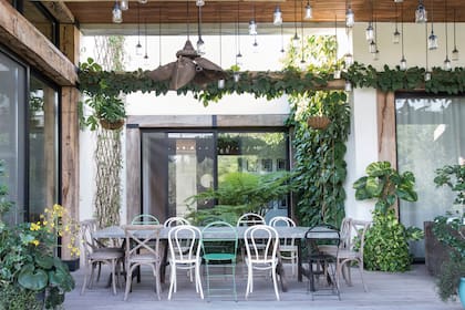 Bello patio verde con alsophila y muros por los que trepan tetrastigma y akebia.