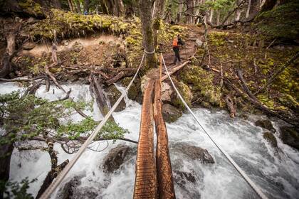 Pato García guía la caminata a través de un bosque de lengas centenarias hacia el glaciar Vespignani, "vecino" del lodge.
