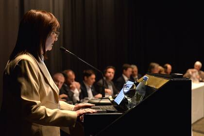 Patricia Bullrich anticipó que podría enviar a la gendarmería a Vaca Muerta para intervenir en los bloqueos