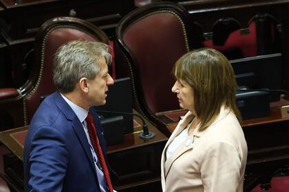 Patricia Bullrich con el senador senador radical por Corrientes, Eduardo Vischi durante la sesión preparatoria para designar autoridades previo a las ordinarias.
24/02/2026.
