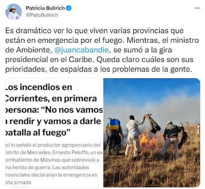 Patricia Bullrich criticó a Juan Cabandié por irse a Barbados en medio de los incendios en Corrientes