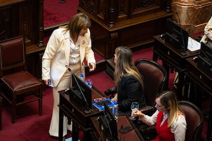 Patricia Bullrich discute con Juliana Di Tullio antes de votar la reforma laboral