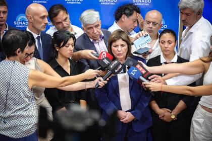 Patricia Bullrich, durante la conferencia de prensa en el Senado
