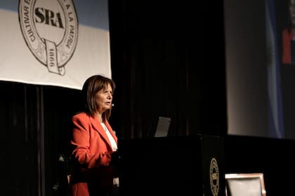 Patricia Bullrich durante su presentación en la Sociedad Rural