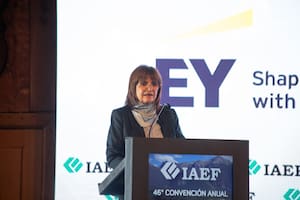 Para la consultora estrella, la crisis es Milei - Image 3