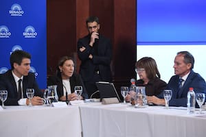 El oficialismo admite que algunos puntos de la reforma política se podrían tratar por separado