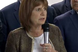 Bullrich: "Quedó demostrado que podemos hacer las cosas con profesionalidad"