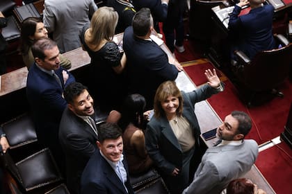 Patricia Bullrich se involucra desde el Senado. Se sumó a la discusión interna por la reforma laboral.