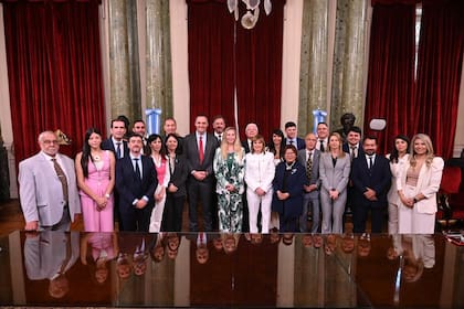 Patricia Bullrich y Karina Milei con el resto de los senadores libertarios