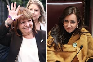 Villarruel se reunió con Bullrich en el Senado: la ayuda que prometió la vice y el compromiso que tomó la ministra