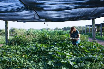 Patricia en la huerta de la Hostería Rincón del Socorro, en los Esteros del Iberá, Corrientes