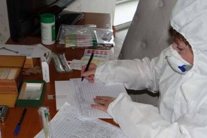 Patricia Wiltshire estudiando muestras de hongos