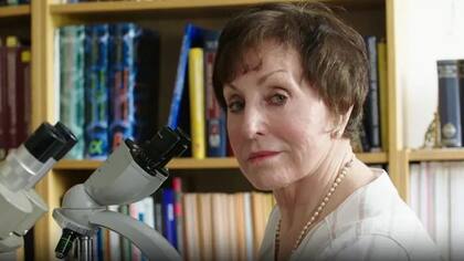 Patricia Wiltshire nunca planeó terminar haciendo lo que hace