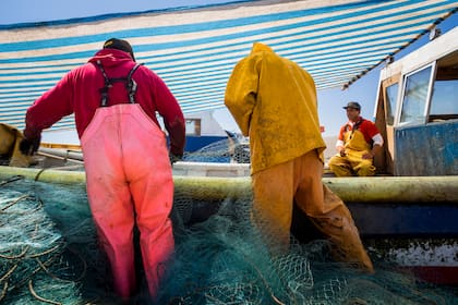 Patricio Gutiérrez Navarro y la pesca
del día. En este caso, un cargamento de
lenguados.