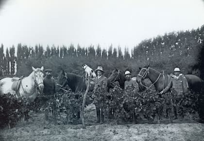 Patrones de finca (1905)