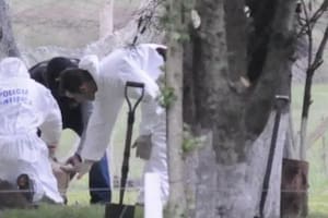 Patrulleros de la Comisaría séptima de Abasto y otras dependencias pertenecientes a la Estación de Policía Departamental de Seguridad (EPDS) de La Plata , dotaciones de bomberos y decenas de vecinos salieron con linternas en mano a rastrear cada rincón de la zona.