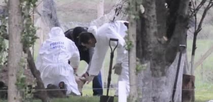 Patrulleros de la Comisaría séptima de Abasto y otras dependencias pertenecientes a la Estación de Policía Departamental de Seguridad (EPDS) de La Plata , dotaciones de bomberos y decenas de vecinos salieron con linternas en mano a rastrear cada rincón de la zona.