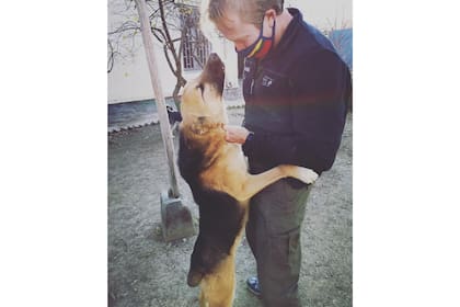 Paul Farthing creó una fundación en Afganistán para ayudar a perros, gatos y burros