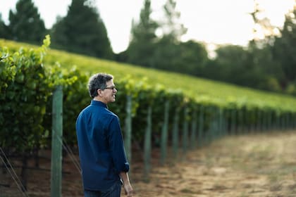 Paul Hobbs también tiene una bodega en California