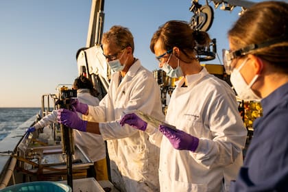 Paul Jensen y Johanna Gutleben, del Instituto de Oceanografía Scripps de la Universidad de California en San Diego, descargan y clasifican núcleos de sedimentos después de que las muestras fueran extraídas a la superficie desde sitios de vertido conocidos por el Vehículo Operado Remotamente (ROV)