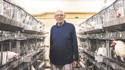 Paul Siegel, un genetista animal, dice que la cría de corral no es la solución