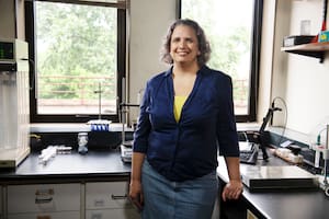 Paula Angelomé, es doctora en química e investigadora principal del Conicet