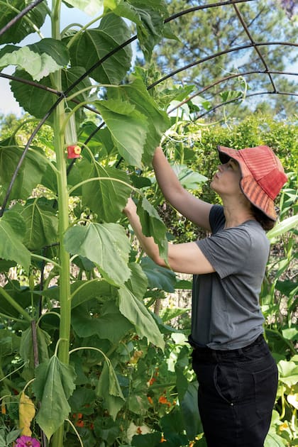 Paula cuenta que su jardín es "un crecer constante, un lugar de transformación permanente en donde los dos nos acompañamos".