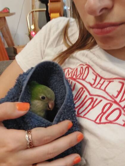 Paula había rescatado a "Remy" luego de ser atacado por sus gatos. Fuente: Instagram