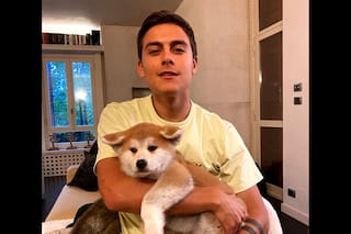 Las tiernas fotos de Kaia, la nueva perrita de Paulo Dybala y Oriana Sabatini